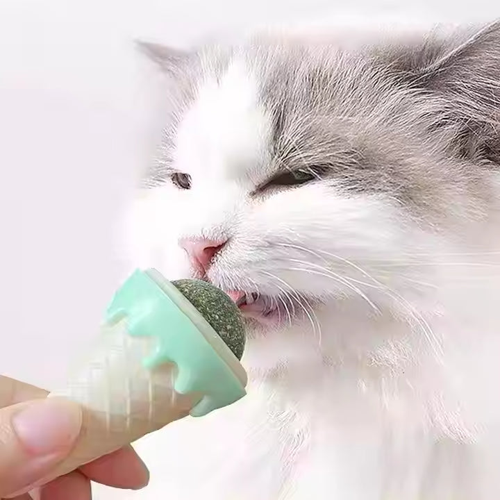 Catnip en Forma de Helado Para Gatos - Petitienda