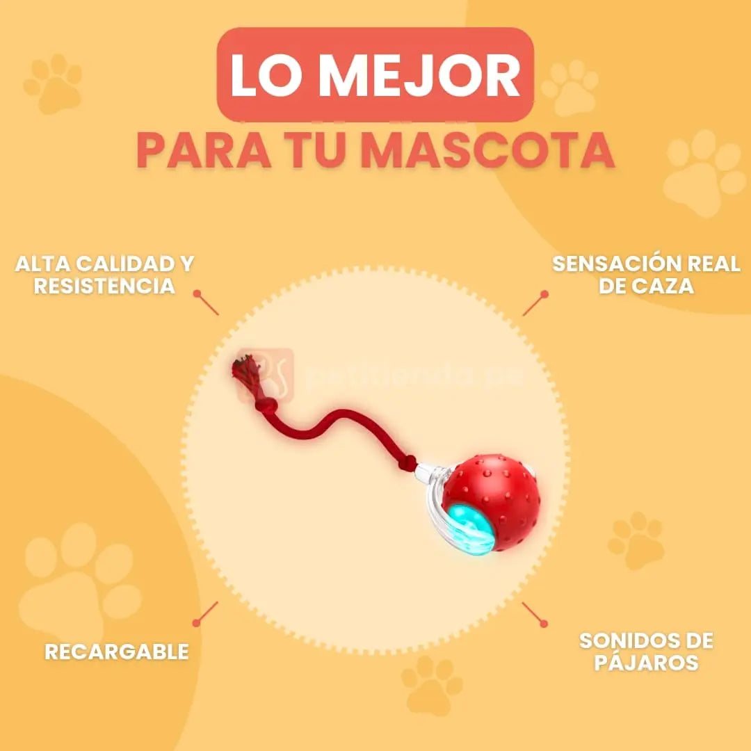 Petiball™| Pelota Interactiva🐱🐶 - Petitienda
