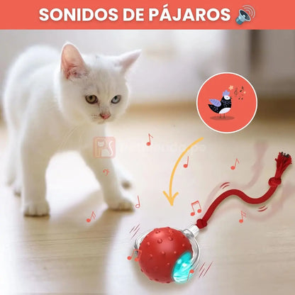 Petiball™| Pelota Interactiva🐱🐶 - Petitienda